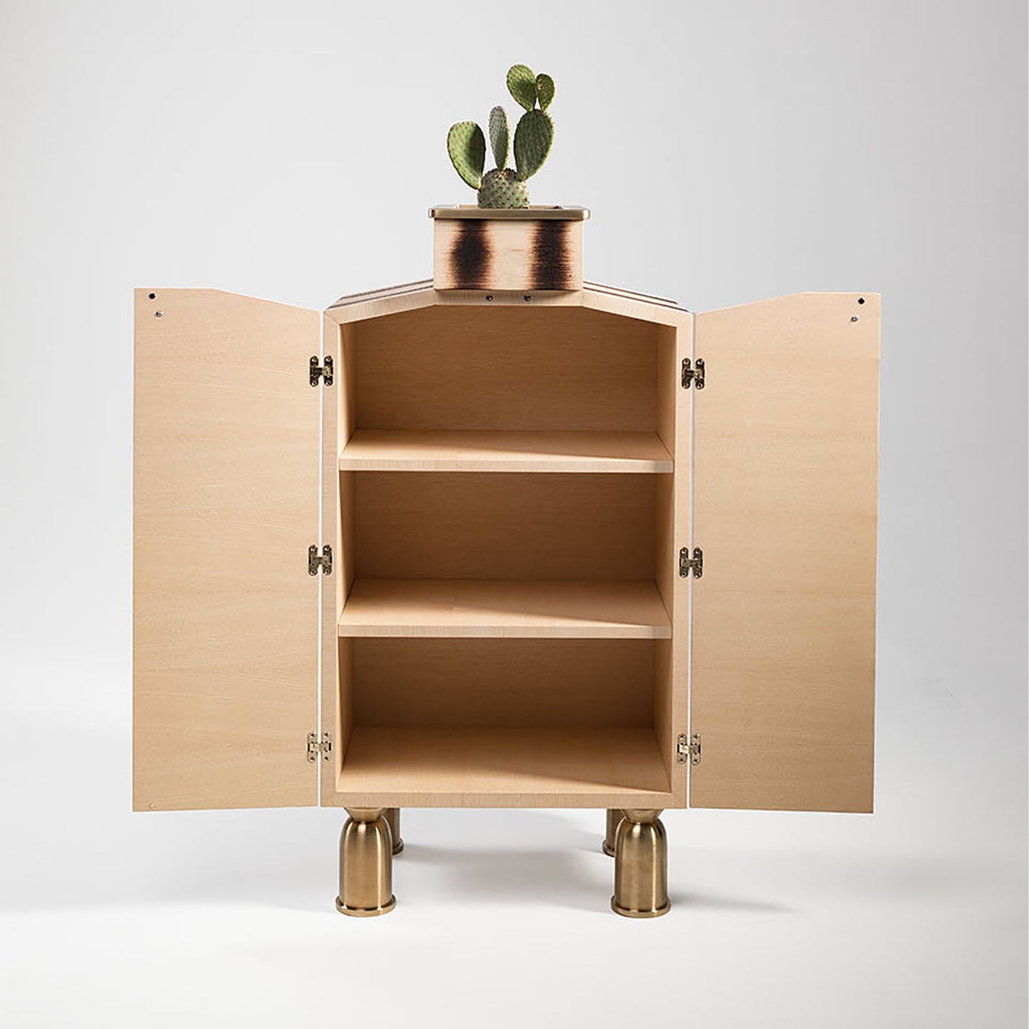 Cabinet BUGS 1 - UKRAINIAN PRODUCT DESIGN