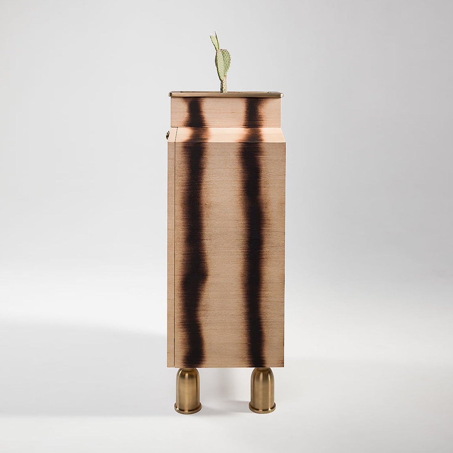 Cabinet BUGS 1 - UKRAINIAN PRODUCT DESIGN