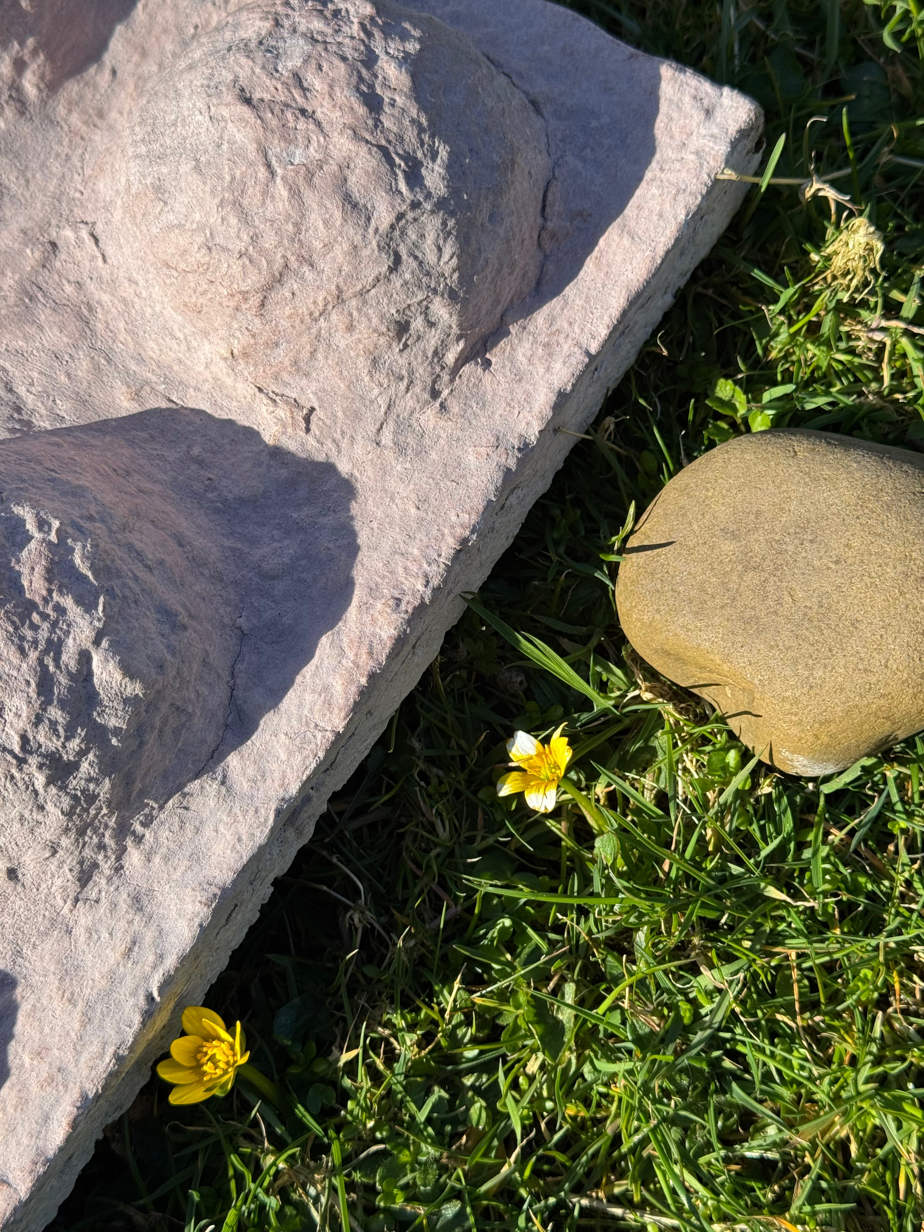 Edge detail of a hand-sculpted bio-mineral wall panel, showing relief depth and natural stone-like surface