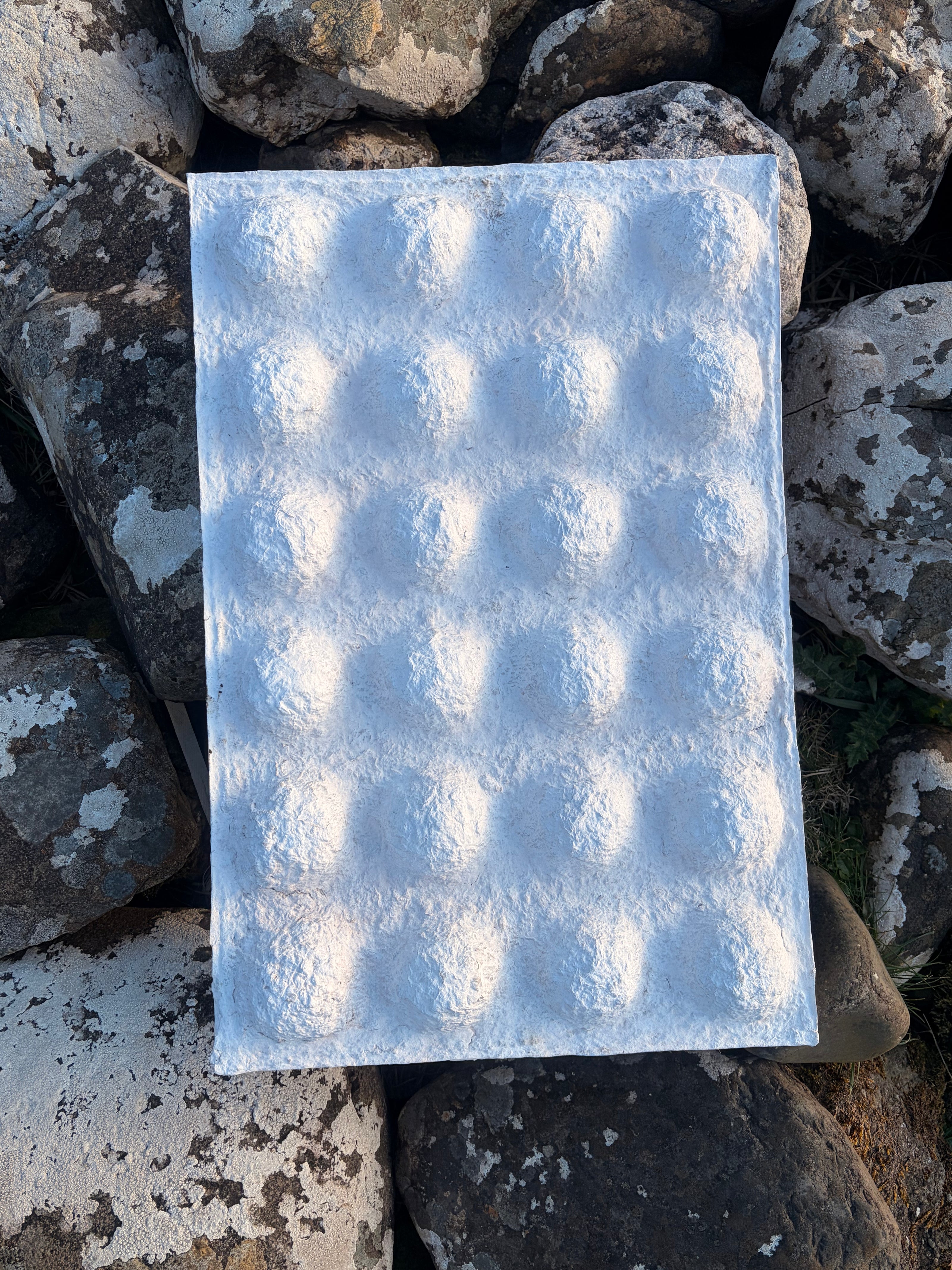 White bio-mineral wall panel with a hand-sculpted hemispherical relief, resting on lichen-covered stones in the Scottish landscape